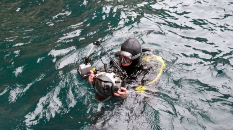 Els ecologistes volen que no es permetin més immersions a la zona © ACN