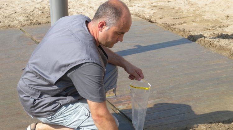 Equips tècnics han analitzat les instal·lacions de 61 platges de les comarques gironines © ACN