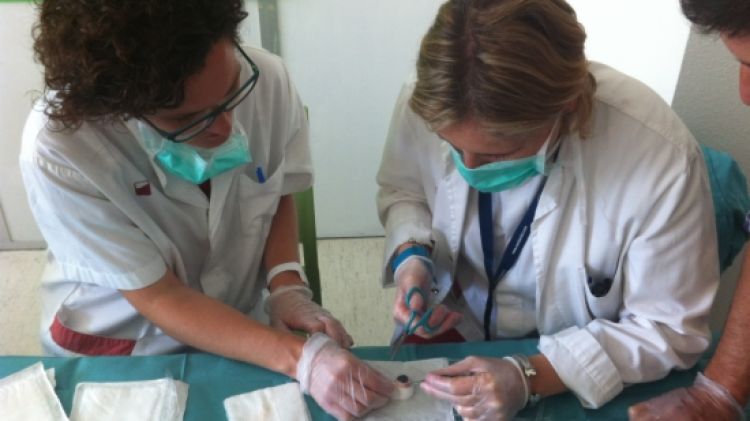 Un moment de la sessió formativa d'extracció de còrnies © ACN