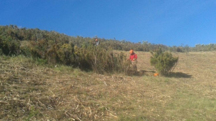 Actuació al puig Tifell