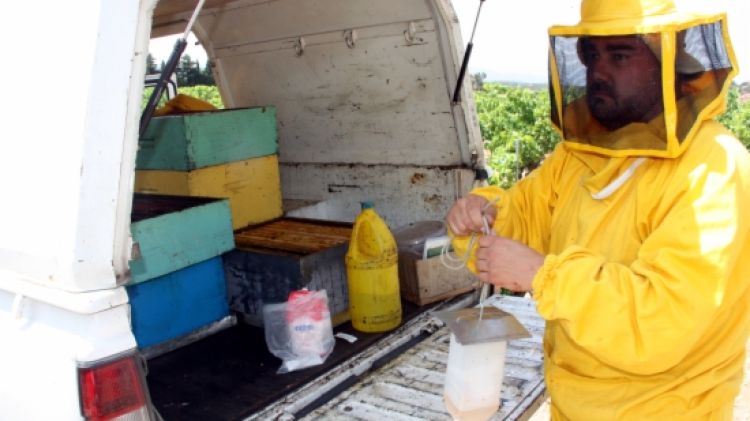 Un apicultor preparant un parany per capturar exemplars de vespa asiàtica © ACN
