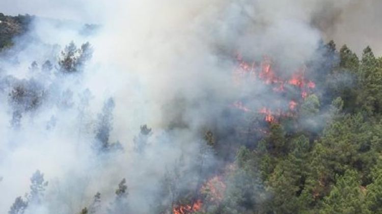 Les flames vistes des de l'helicòpter dels Bombers