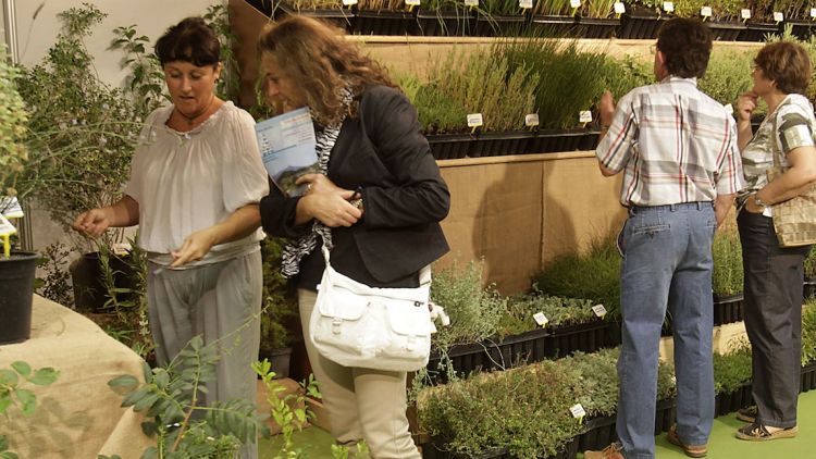 Un estand del Saló de la Planta, Jardí i Complements © AG