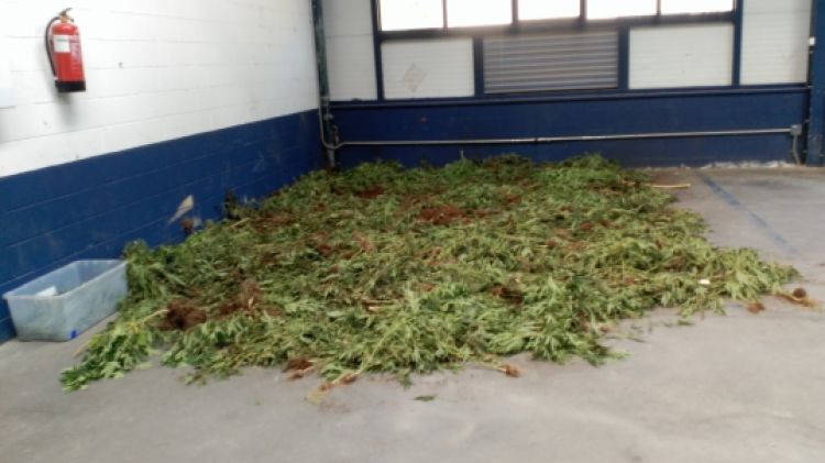 La marihuana guardada en un pàrquing interior de la comissaria dels Mossos d'Esquadra d'Olot © ACN