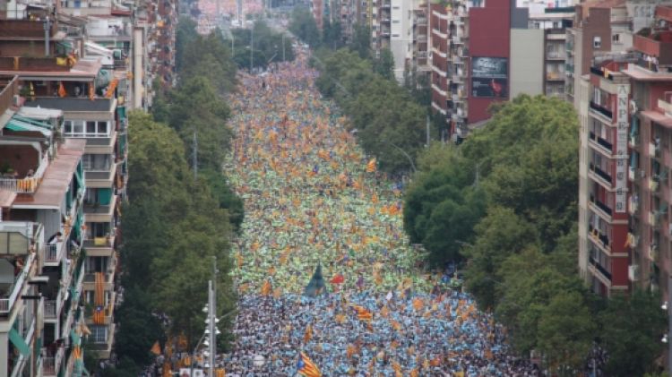 Una part del mosaic de color verd © ACN