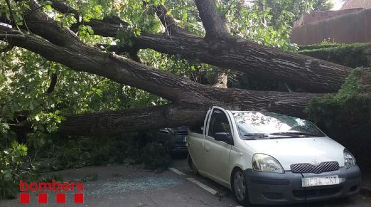 El roure ha destrossat completament el sostre d'un dels vehicles aparcats © Bombers