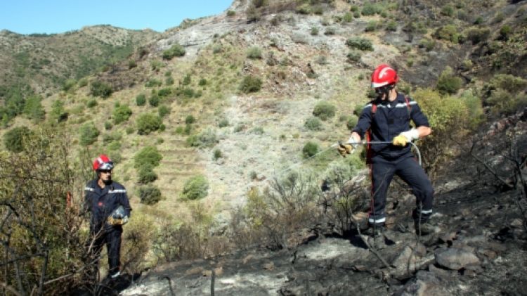 Dos bombers francesos remullant la zona calcinada per l'incendi forestal de Cervera © ACN