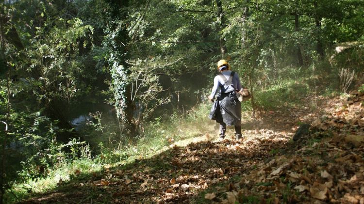 Un operari netejant la llera del Fluvià, aquest matí © Aj. d'Olot