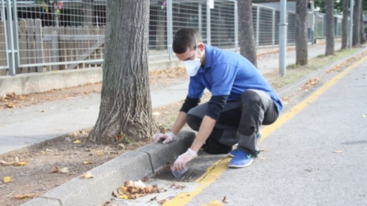 Actuació contra el mosquit tigre davant una escola d'Olot (arxiu) © ACN