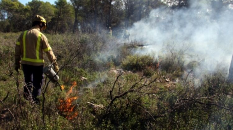 Un bomber encenent el sotabosc al Montgrí © ACN