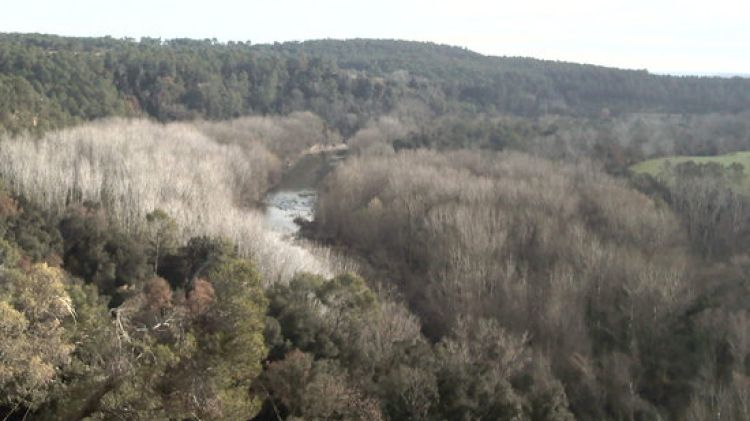 L'espai on es vol actuar eliminant l'arbrat i convertint la zona en conreus