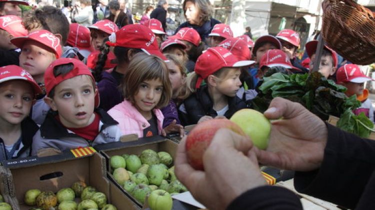 Alumnes de l'Escola Bisaroques d'Olot coneixent les antigues varietats de poma de la comarca © ACN