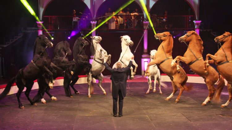 Sacha Houcke actuant al Gran Circ de Nadal de Girona © ACN