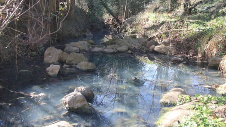El torrent del Riot de Sant Joan les Fonts on s'ha detectat un possible vessament (arxiu) © ACN