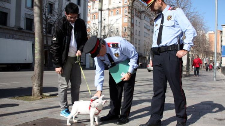 Agents dels mossos fent la lectura del xip d'un gos © ACN