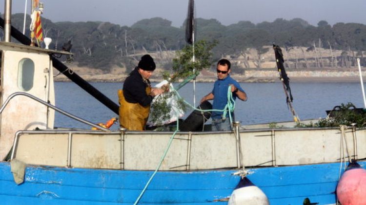 Pescadors de l’Escala submergeixen branques a la badia de Roses per recuperar les sèpies © ACN