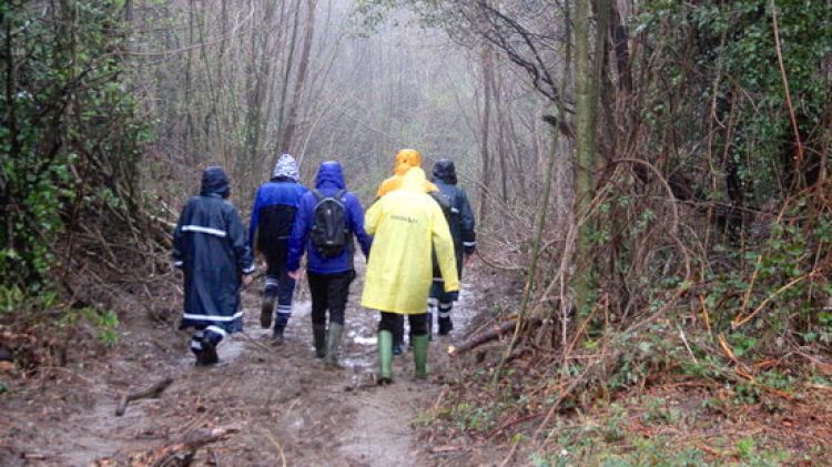 Un dels camins per on els voluntaris busquen el veí d'Olot desaparegut © ACN