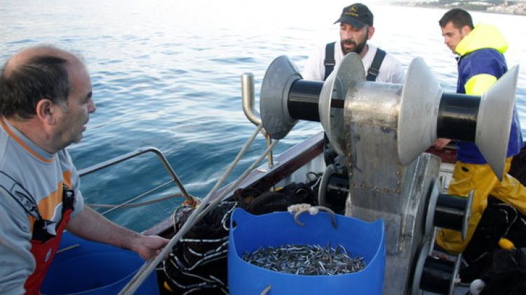 La tripulació d'una de les sonseres d'Arenys de Mar feineja a bord © ACN