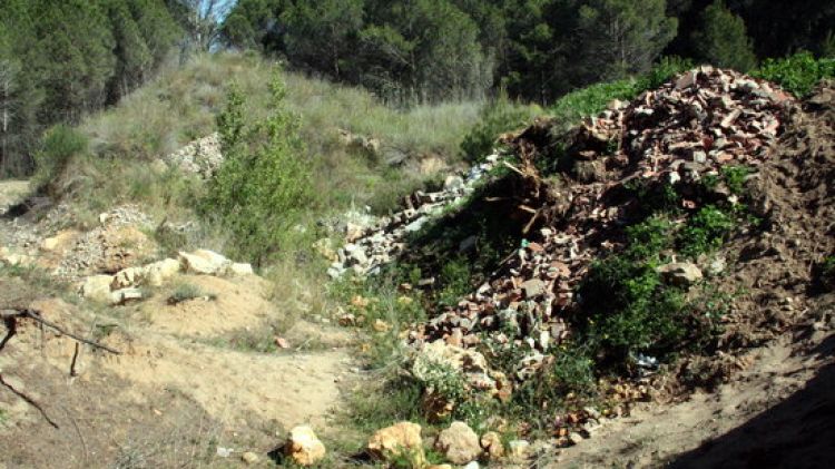 Troncs de palmeres llençats al terreny © ACN