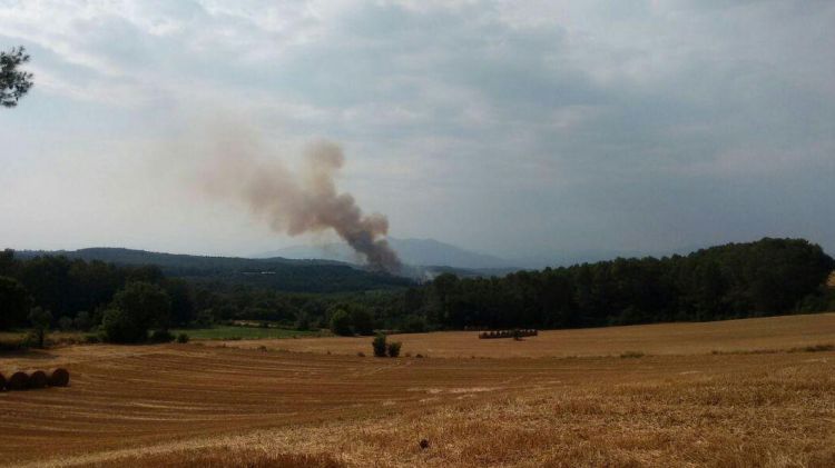 Les flames vistes des de la distància © ADF Gavarres