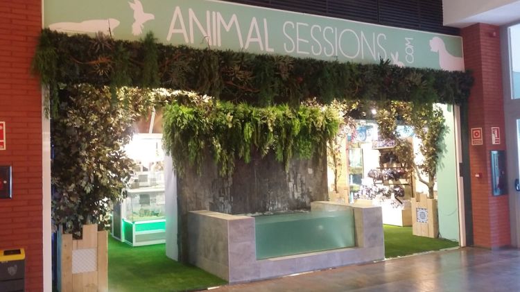 Exterior de la botiga Animal Sessions