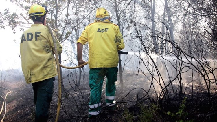 Dos ADF tracten d'extingir les flames que afecten un terreny amb vegetació © ACN