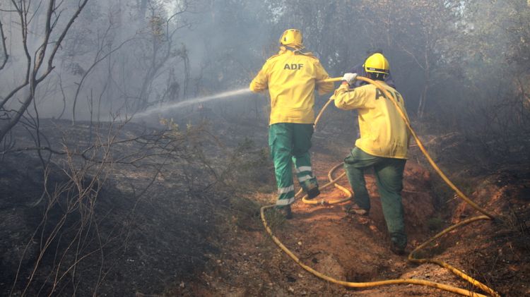 Un grup d'ADF extingint un foc a Santa Coloma de Farners el juliol de 2016