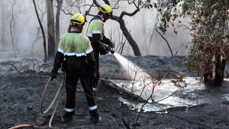 Efectius dels Bombers i ADF treballant remullant la zona cremada a Blanes © ACN