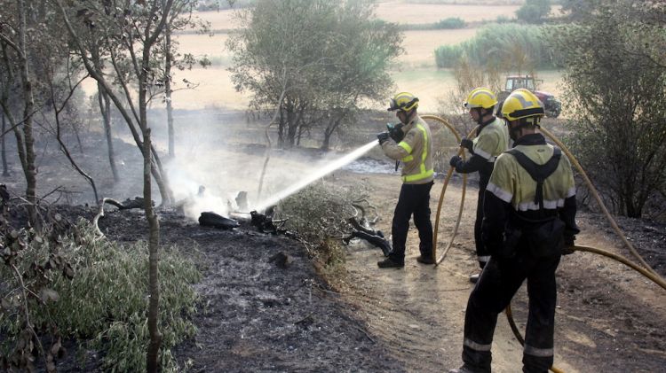 Bombers apagant el foc d'avui a Corçà © ACN