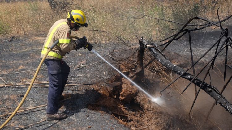 Un bomber apagant una soca que cremava a l'incendi de l'Alt Empordà © Borja Balsera/ACN