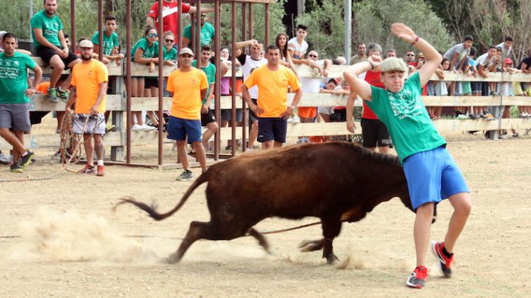 Un noi esquiva a una de les vaquetes a Torroella de Montgrí durant el correbou de l'any passat © ACN