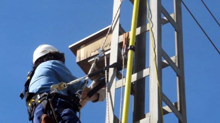 Un operari posant una de les caixes niu