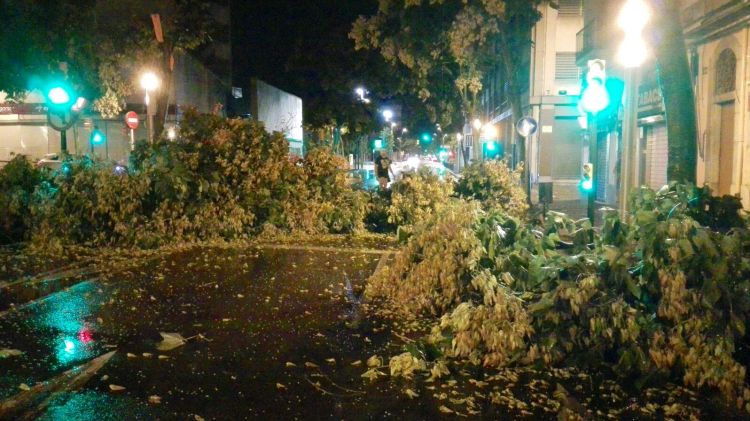 L'arbre caigut al bell mig del carrer Santa Eugènia © Ràdio Girona-Cadena Ser