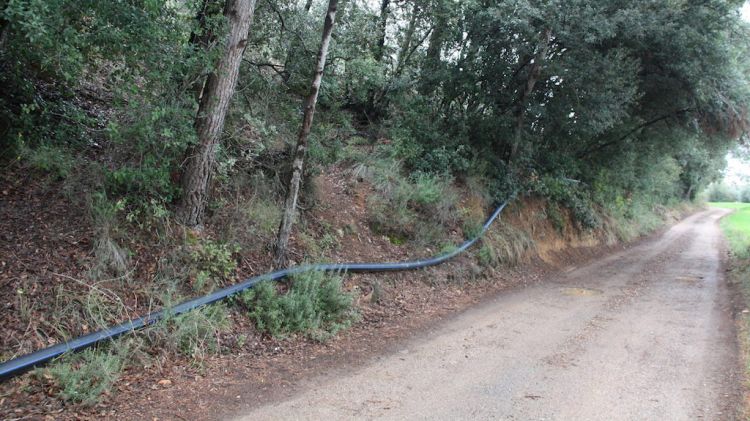 Un dels tubs de la xarxa provisional d'aigua de Vilademuls que passa pel bosc © ACN