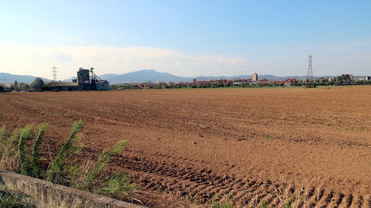 Els terrenys del sector sud de Salt © ACN