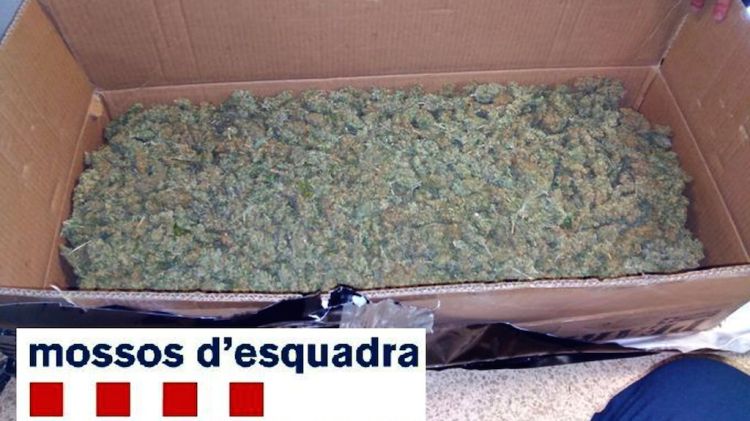 El jove de 24 anys havia carregat una caixa amb 2 quilos de cabdells de marihuana al maleter del cotxe