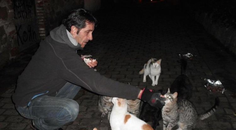 José Luis Pardo alimentant una colònia de gats. change.org