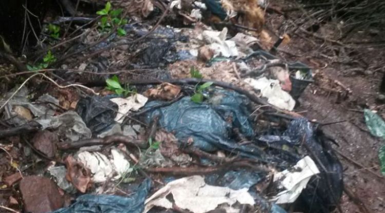 Els gossos morts dins de bosses d'escombraries. SER Catalunya