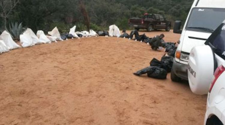 Els gossos i gats morts a la finca de Tossa (arxiu). SER Catalunya