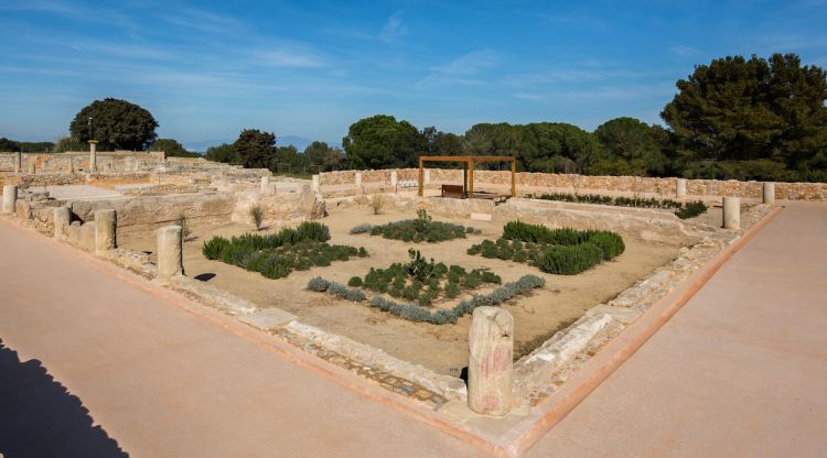 Imatge general de la Casa dels Mosaics el nou espai museïtzat que incorpora el jaciment d'Empúries. ACN