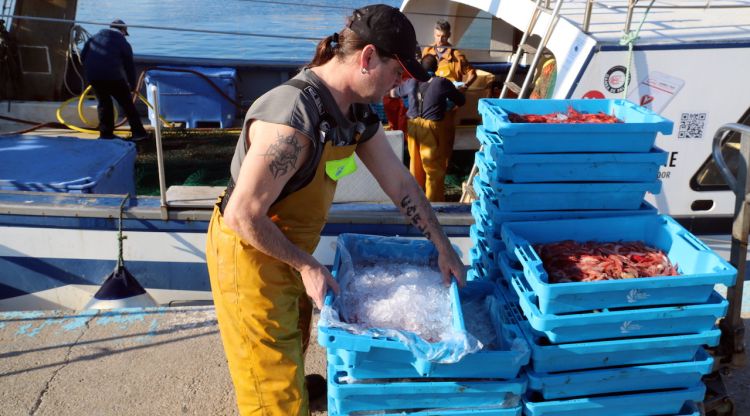 Pescadors descarregant gamba a Palamós, aquest matí. ACN