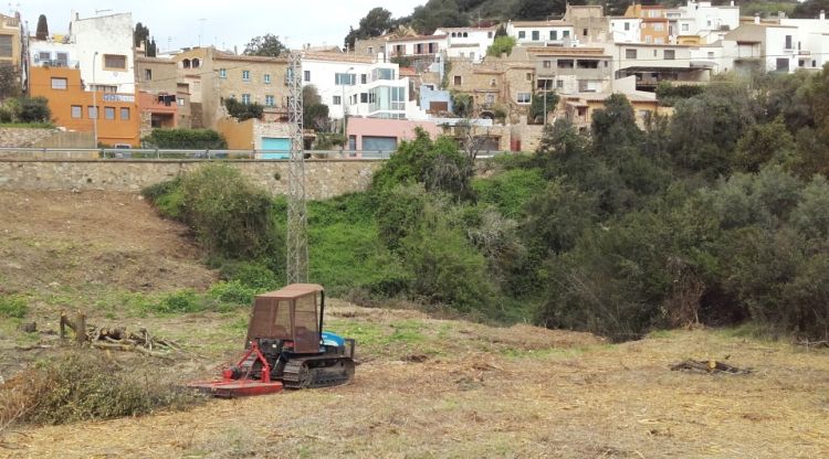 Els horts es troben a tocar la carretera. Aj. de Begur