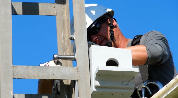 Un tècnic de la companyia Endesa instal·lant un niu per al gaig blau al Parc Natural dels Aiguamolls de l'Empordà