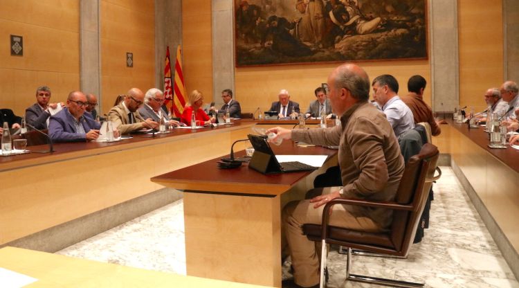 Un instant del ple celebrat aquest matí. ACN