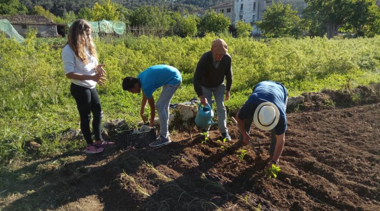 Un grup de joves i jubilats treballant a l'hort