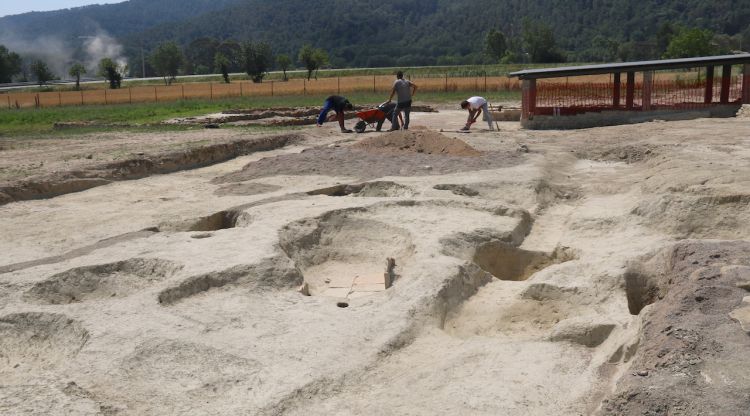 El sector que s'ha excavat a Vilauba, Camós (Pla de l'Estany), amb els fosses que han quedat al descobert. ACN
