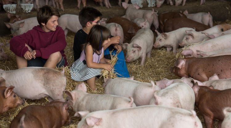 Uns infants en una granja de Prats del Lluçanès