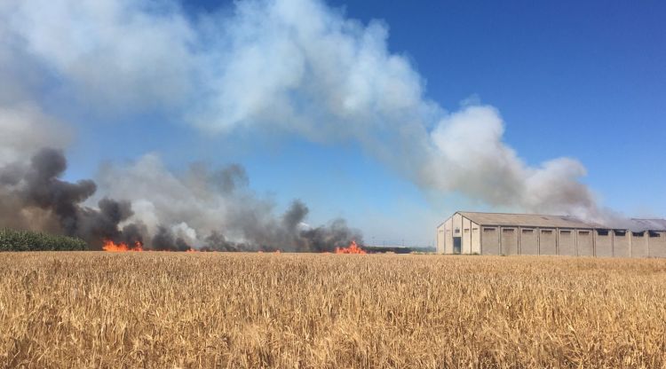 Les flames cremant el camp de pomes. Laura Pérez Victòria