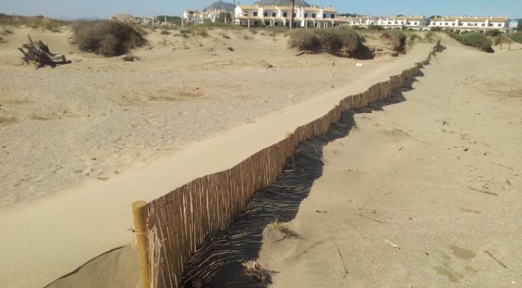Les dunes d'una platja situada a Pals (Baix Empordà)