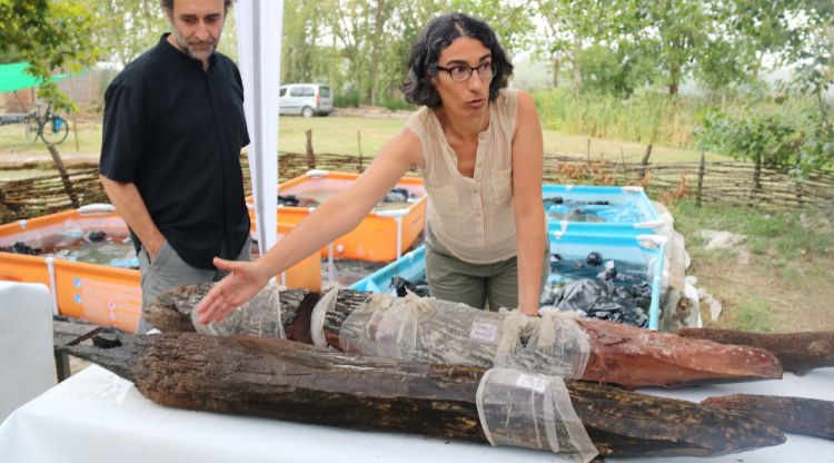 La codirectora del jaciment de la Draga, Raquel Piqué, mostrant algunes de les fustes que han aparegut en la campanya d'enguany. ACN